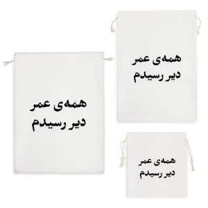 کیسه نظم دهنده همه عمر دیر رسیدم