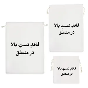 کیسه نظم دهنده فاقد دست بالا در منطق