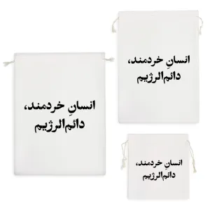 کیسه نظم دهنده انسان خردمند دائم الرژیم