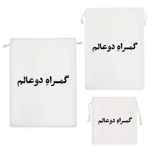 کیسه نظم دهنده گمراه دو عالم