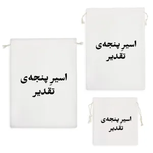 کیسه نظم دهنده اسر پنجه ی تقدیر