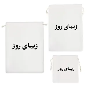 کیسه نظم دهنده زیبای روز