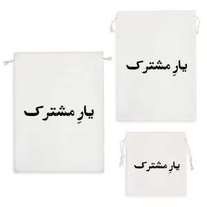 کیسه نظم دهنده یار مشترک