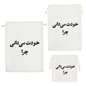 کیسه نظم دهنده خودت میدانی چرا