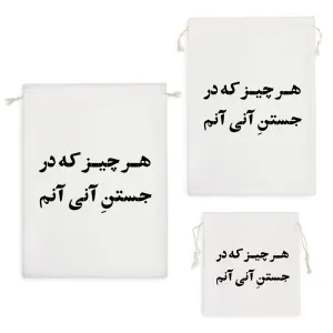 کیسه نظم دهنده هر چیز که در جستن آنی آنم