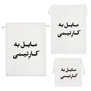 کیسه نظم دهنده مایل به کار تیمی