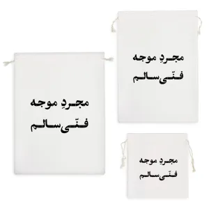 کیسه نظم دهنده مجرد موجه فنی سالم