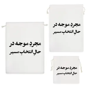 کیسه نظم دهنده مجرد موجه در حال انتخاب مسیر