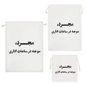 کیسه نظم دهنده مجرد موجه در ساعات اداری