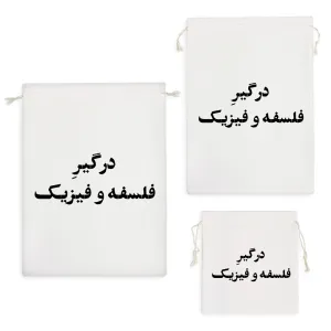 کیسه نظم دهنده درگیر فلسفه و فیزیک