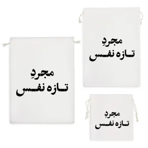 کیسه نظم دهنده مجرد تازه نفس