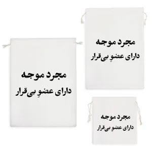 کیسه نظم دهنده