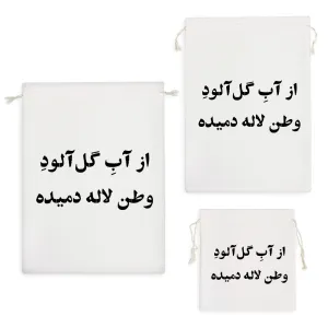 کیسه نظم دهنده