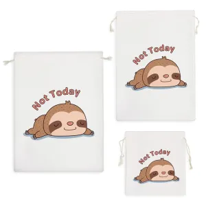 کیسه نظم دهنده تنبل