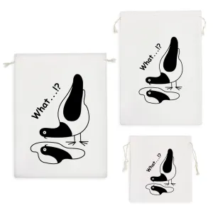 کیسه نظم دهنده کبوتر