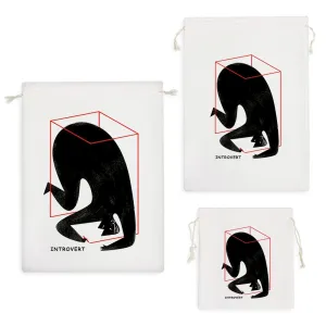 کیسه نظم دهنده درونگرا