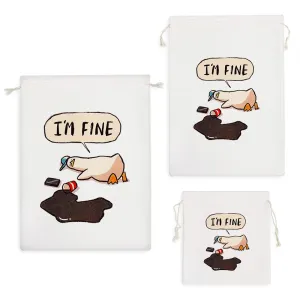 کیسه نظم دهنده اردک و قهوه