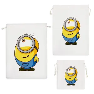 کیسه نظم دهنده مینیون