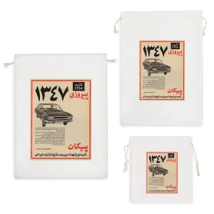 کیسه نظم دهنده ماشین پیکان