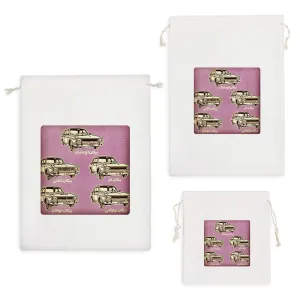 کیسه نظم دهنده ماشین پیکان