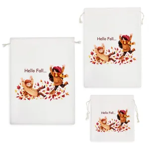 کیسه نظم دهنده پاییز Fall