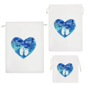 کیسه نظم دهنده تعیین جنسیت