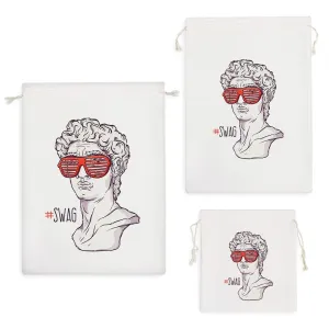 کیسه نظم دهنده مجسمه داوود