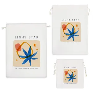 کیسه نظم دهنده ستاره دنباله دار