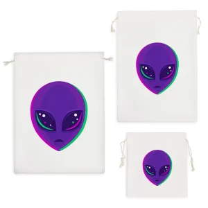 کیسه نظم دهنده آدم فضایی