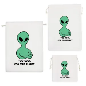 کیسه نظم دهنده آدم فضایی