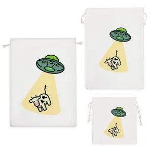 کیسه نظم دهنده سفینه فضایی