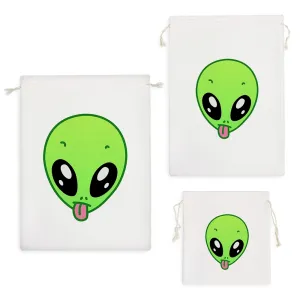 کیسه نظم دهنده آدم فضایی