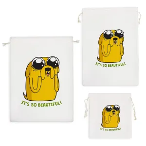 کیسه نظم دهنده به وقت ماجراجویی