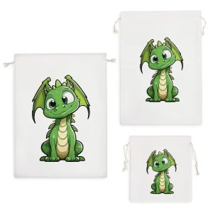 کیسه نظم دهنده اژدهای بامزه