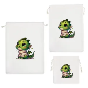 کیسه نظم دهنده اژدهای بامزه