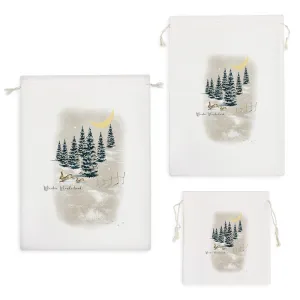 کیسه نظم دهنده منظره برفی