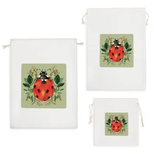 کیسه نظم دهنده کفشدوزک