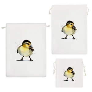 کیسه نظم دهنده اردک