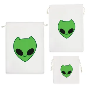 کیسه نظم دهنده فضایی