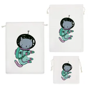 کیسه نظم دهنده گربه فضانورد