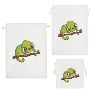 کیسه نظم دهنده آفتاب پرست بامزه