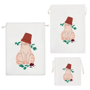 کیسه نظم دهنده گربه