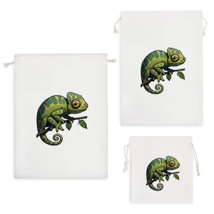 کیسه نظم دهنده آفتاب پرست بامزه