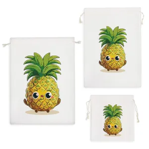 کیسه نظم دهنده آناناس کیوت