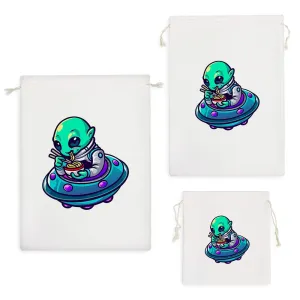 کیسه نظم دهنده فضایی