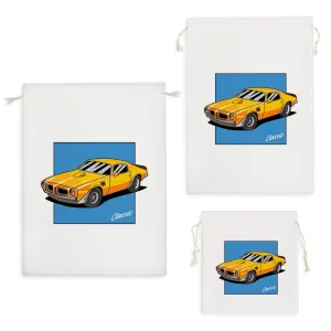 کیسه نظم دهنده ماشین کلاسیک