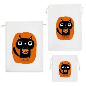 کیسه نظم دهنده گربه