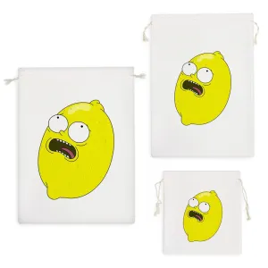 کیسه نظم دهنده ریک و مورتی