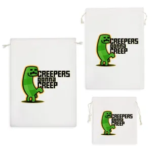 کیسه نظم دهنده ماینکرافت