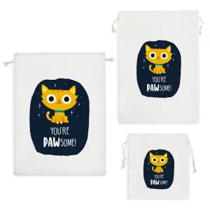 کیسه نظم دهنده گربه (Cat)